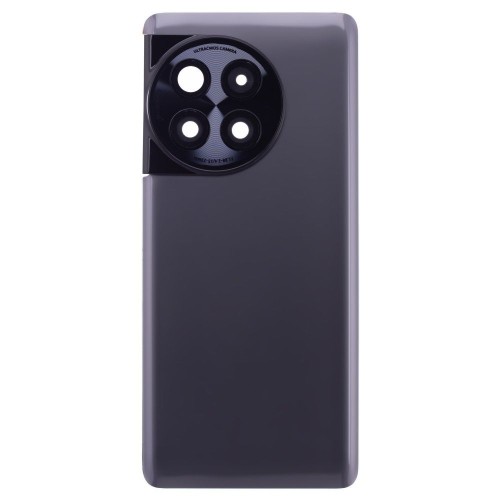 Задняя крышка для OnePlus Ace 2 Pro (PJA110) (серый) (в сборе со стеклом камеры)