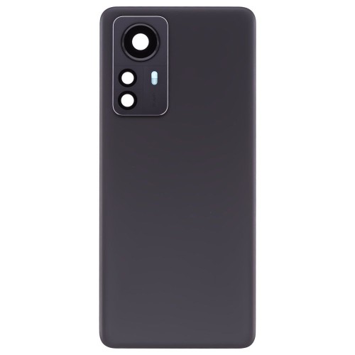 Задняя крышка для Xiaomi 12 Pro (2201122G) (серый) (в сборе со стеклом камеры) (ORIG100)