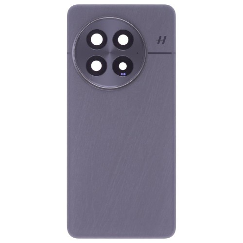 Задняя крышка для OnePlus 13 (CPH2653) (черный) (в сборе со стеклом камеры)