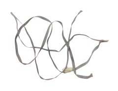 Шлейф для телевизора Supra STV-LC55ST1000U E488533