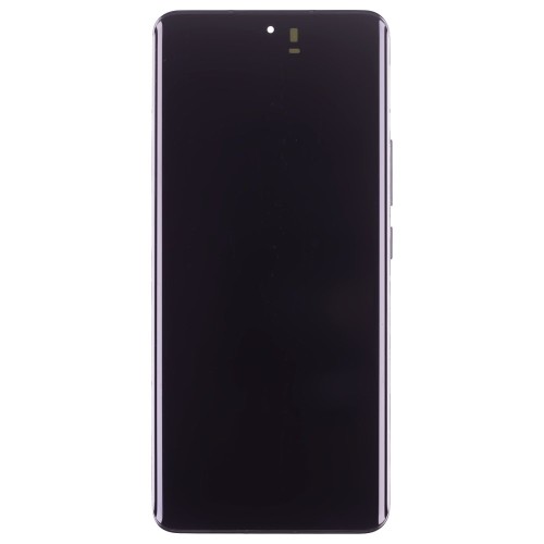 Дисплей для Xiaomi 13 Pro (2210132G) + тачскрин (черный) (в рамке) (ORIG100) (SP)