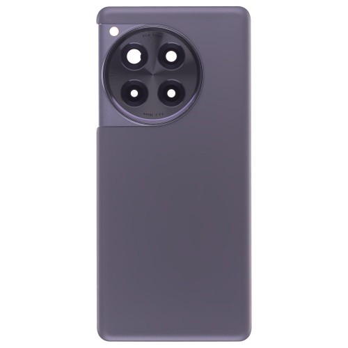 Задняя крышка для OnePlus 12R (CPH2609) (серый) (в сборе со стеклом камеры)