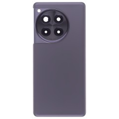 Задняя крышка для OnePlus 12R (CPH2609) (серый) (в сборе со стеклом камеры)