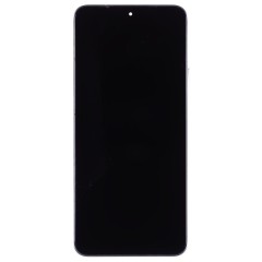 Дисплей для Huawei Honor X8a (CRT-LX1) / Honor 90 Lite (CRT-NX1) + тачскрин (серебристый) (в рамке) (ORIG)